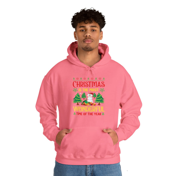 Christmas T-shirt Most Wonderful Time of the Year | Christmas Oversize hoodie | Graphic Women Hooded Sweatshirt